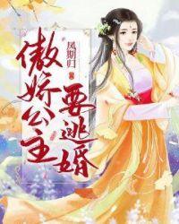 傲嬌公主百度百科